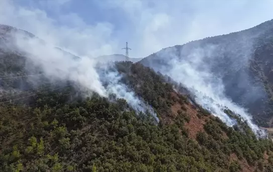 Şemdinli'de Yangın Kontrol Altına Alındı