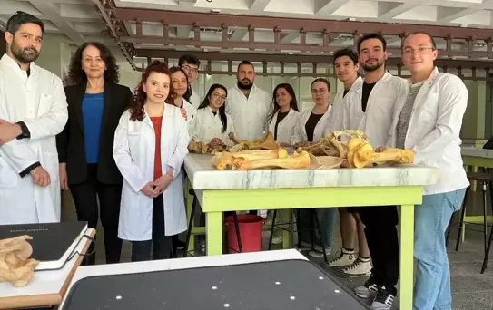 Yapay Zeka ile Veteriner Eğitimi