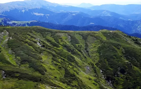 Ilgaz Dağı'nda Bahar Başladı