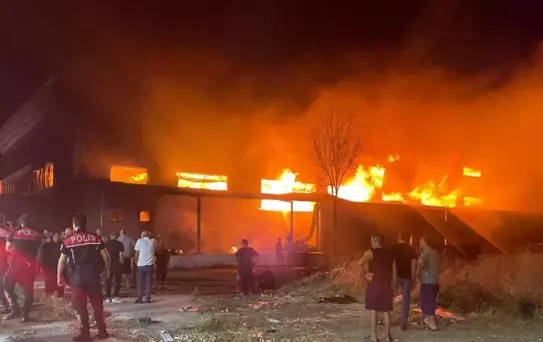 Gaziemir'de Mobilya Fabrikasında Yangın