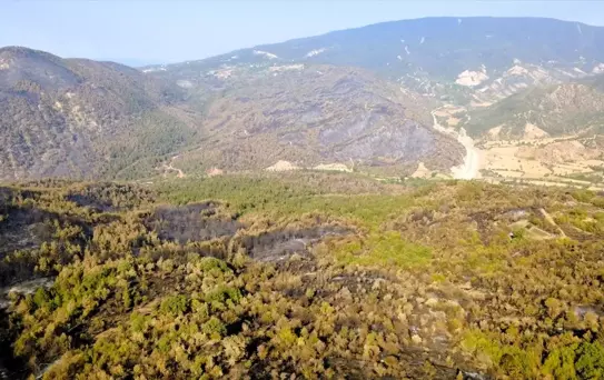 Karabük'te Orman Yangınları Kontrol Altında