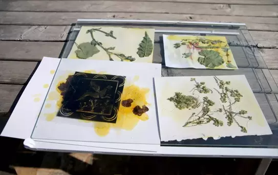 Eskipazar'da Uluslararası Sanat Terapisi Çalıştayı Tamamlandı