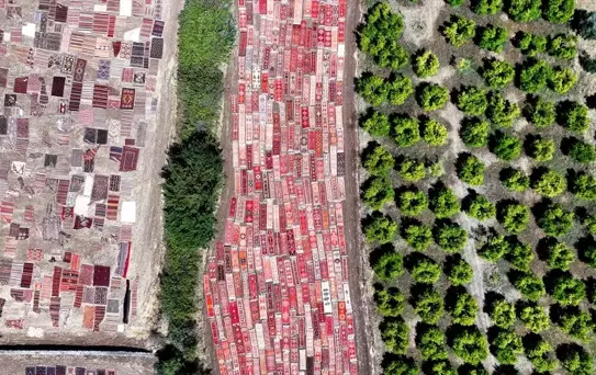 Antalya'da Halı Tarlası Uygulaması