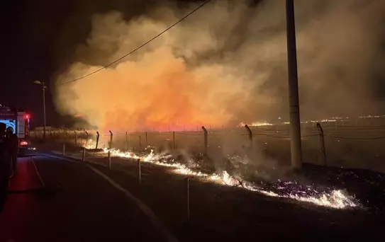 Kemalpaşa'da Boş Arazide Yangın