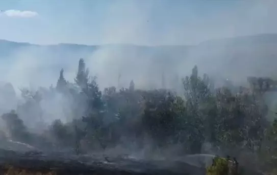 Hüyük'te Arazi Yangını Kontrole Alındı
