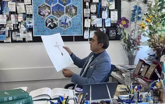 Yeni Bitki Türü: Konya Sümbülü