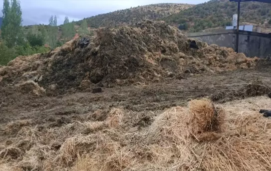 Seydişehir'de Samanlık Yangını: 3 Yaralı