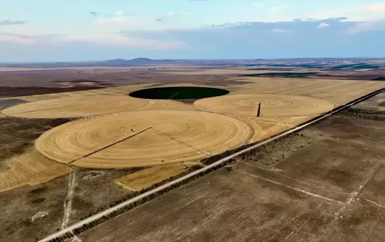 TİGEM'de Hasat Sezonu Tamamlandı