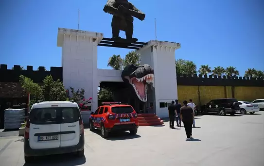 Manavgat'ta Kaçan Aslan Denetlendi