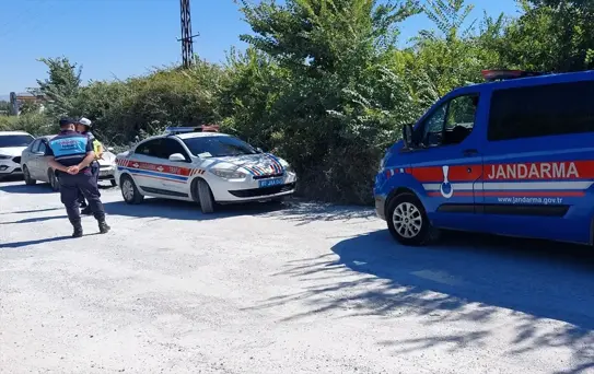 Manavgat'ta Kaçan Aslan Vuruldu