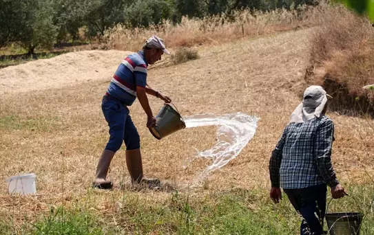 Ahmetli'de Yangınla Mücadele