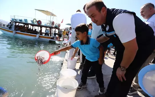 Milas'ta 160 Bin Balık Yavrusu Denizle Buluşturuldu