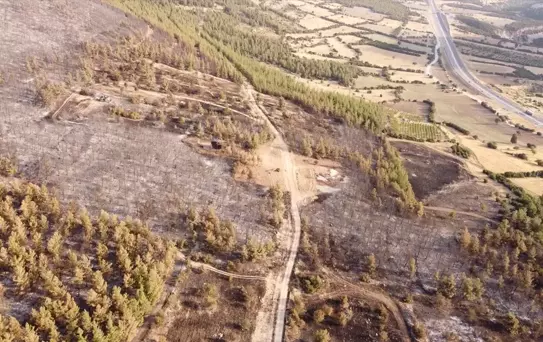 Pamukkale'deki Orman Yangını Kontrol Altına Alındı
