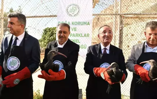 Kelaynaklar Doğaya Salındı