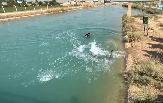 Şanlıurfa'da Kaybolan Genç Bulundu