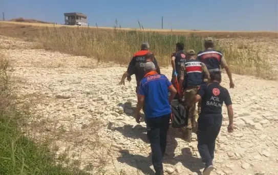 Amca, yeğenini kurtarmak isterken hayatını kaybetti