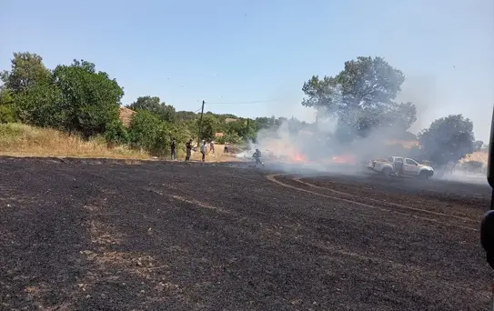 Savaştepe'de Tarım Arazisinde Yangın