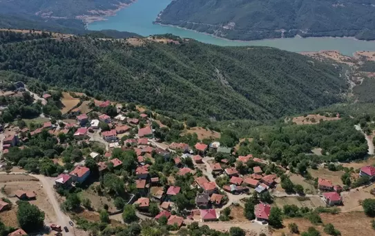 Durağan'daki Orman Yangını Kontrol Altına Alındı