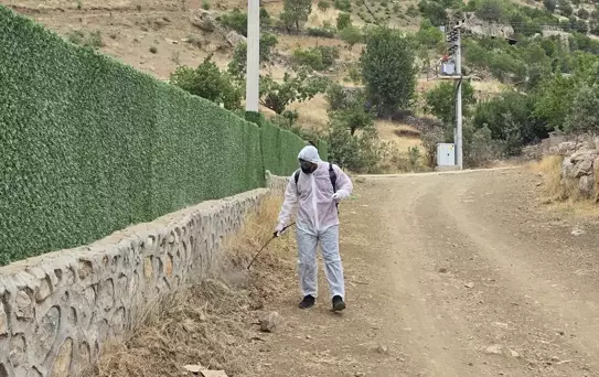 Şırnak'ta Çekirge İlaçlaması