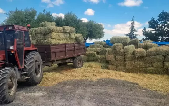 Talas'ta Yem Bitkisi Ekimi Destekleniyor