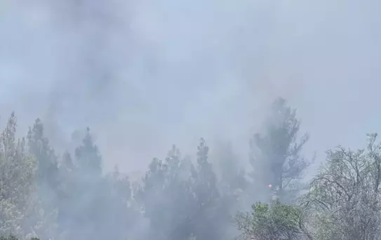 Denizli'de Orman Yangını Söndürüldü