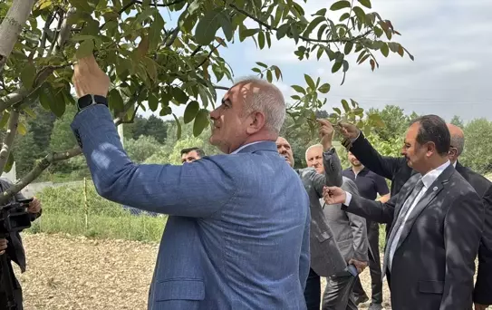 TBMM Komisyonu Bolu'da Zirai Don İncelemesi Yaptı