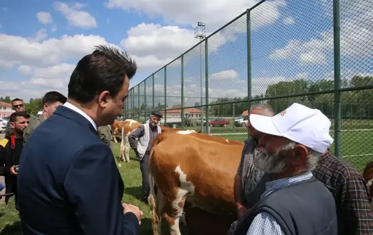 Süt Sığırcılığı Projesi Başladı