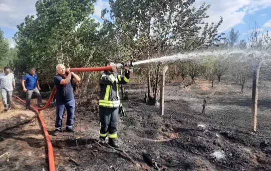 Tokat'ta Anız Yangını: 50 Dönüm Zarar Gördü
