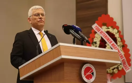 Veteriner Hekimlerden Yangın Bölgesi Desteği