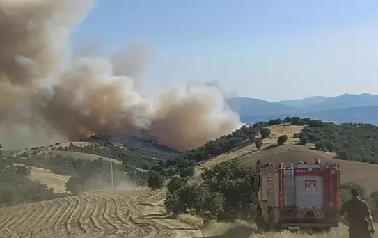 Uşak ve Manisa'da Yangın Mücadelesi