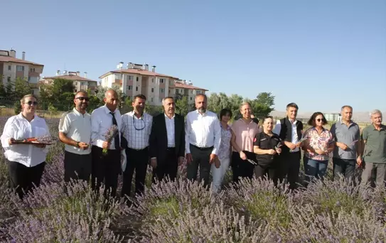 YYÜ'nde 6. Tıbbi Bitkiler Hasat Bayramı