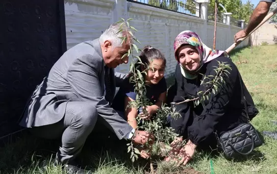 Van'da Fidan Dikim Etkinliği