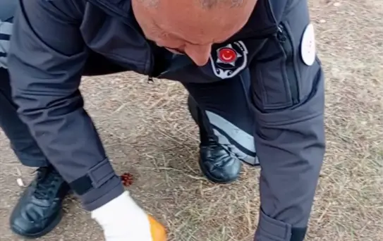 Kediyi Konserve Kutusundan Güvenlik Görevlisi Kurtardı