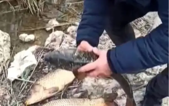 Kovada Gölü'nde Kaçak Avcılığa 176 Bin TL Ceza