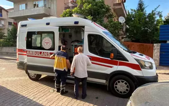 İzmit’te Ihlamur Toplarken Yaralandı