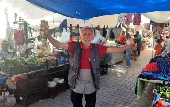Neşe Kaynağı Pazarcı
