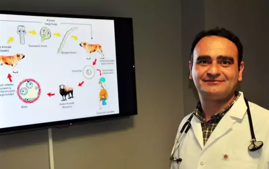 Kurban Bayramı'nda Kist Hidatiği Uyarısı