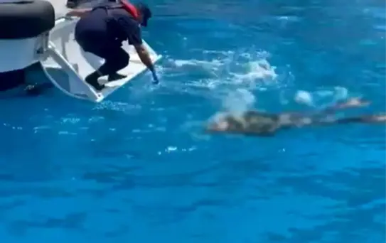 Dalışta Vurgun Yedi, Hayatını Kaybetti