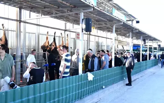 Pursaklar Belediyesi Kurban Kesim Hizmetleriyle Vatandaşlardan Tam Not Aldı