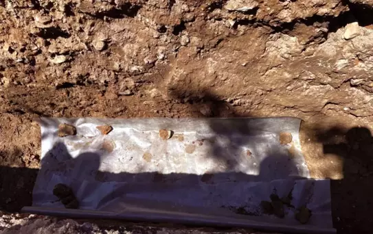 Kahramanmaraş'ta 1500 yıllık taban mozaiği bulundu