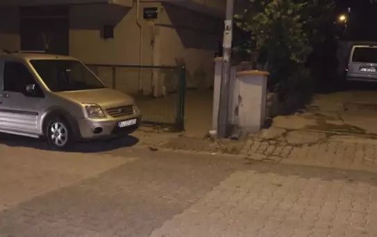 Pitbull Çocuğa Saldırdı, Aile Çaresiz Kaldı