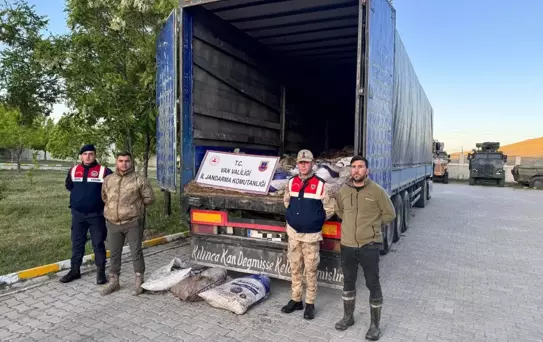 Muradiye'de Kaçak Avcılar 19 Ton İnci Kefali Ele Geçirildi