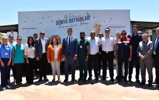 Didim'de Sokak Hayvanlarına Yönelik Denetim Gerçekleştirildi