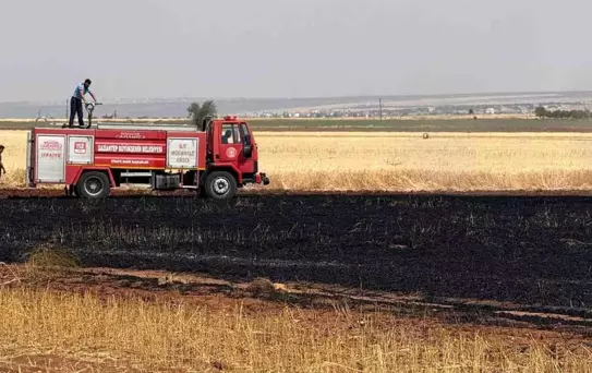 Gaziantep'te Buğday Alanında Yangın