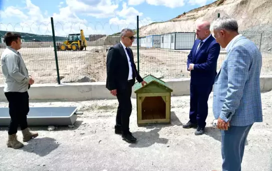 Ardahan'da Sahipsiz Hayvanlara Yeni Yaşam Alanı