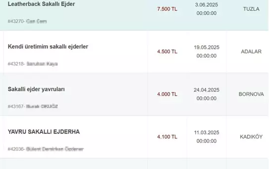 Sakallı Ejderler İnternette Satışta