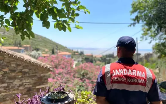 Aydın'da Orman Yangınları İçin Bilgilendirme