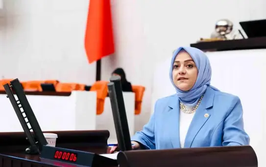 Sema Silkin Ün: Çifte Vatandaşlar Savaş Suçlarına Karışmamalı