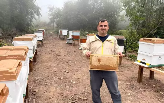 Doğal Ormangülü Balı Sezonu Verimli Geçti