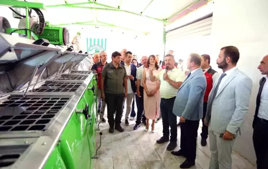 Muğla'da Zeytinyağı Etkinliği Düzenlendi